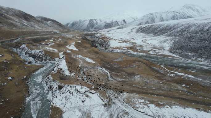原创 青海果洛州玛沁县雪山乡冬季自然风光