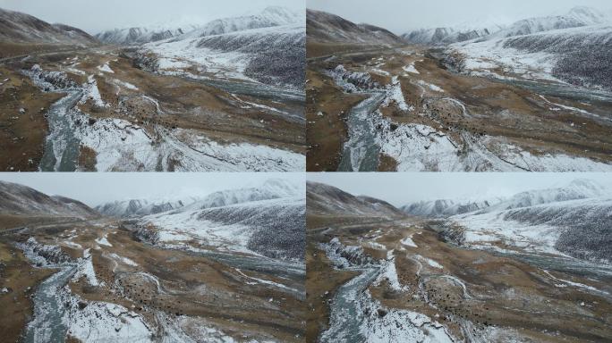 原创 青海果洛州玛沁县雪山乡冬季自然风光