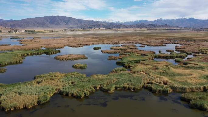 原创 新疆富蕴县可可苏里湖泊湿地自然风光