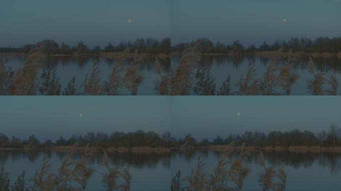 湖面上美丽的月亮。