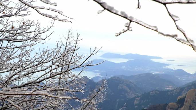 崂山雪景雾凇