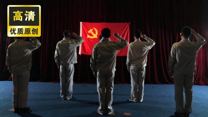 中国共产党 党员宣誓 抚摸党徽党建