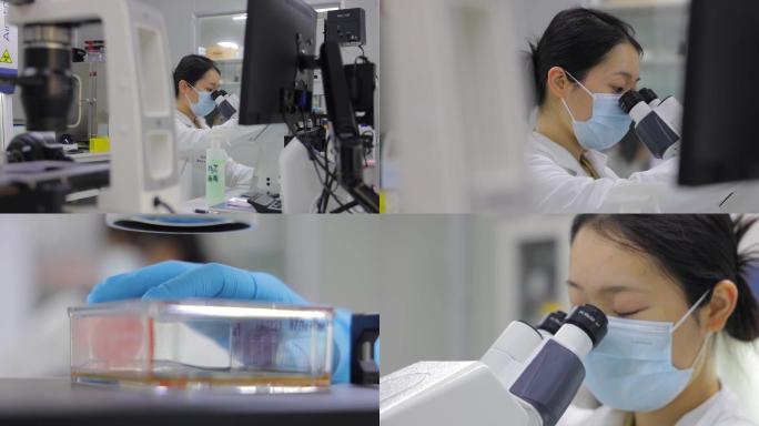 年轻的女研究员在实验室使用显微镜_4K