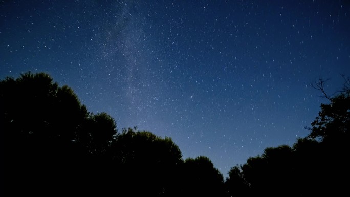 树林里的银河星空延时