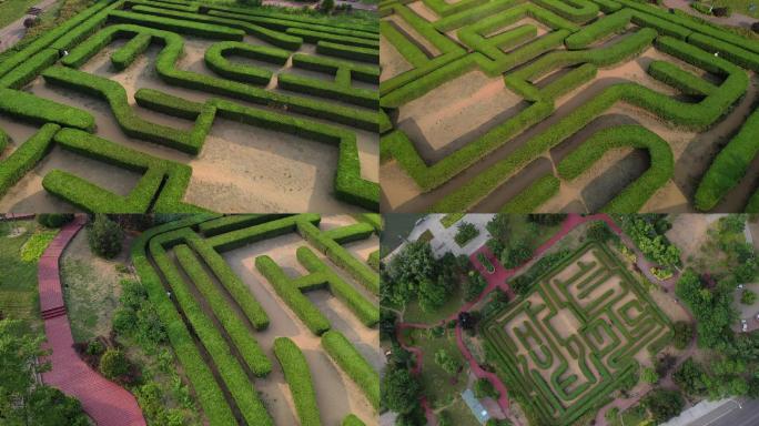 青岛城阳植物迷宫迷宫花园