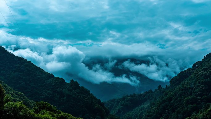 冰岛村清晨茶山云雾延时4k