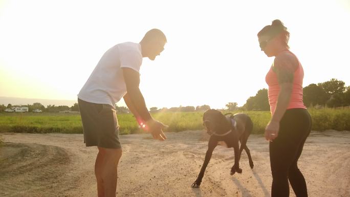 在黄金时段4K视频系列中，积极健康的夫妇在美国乡村散步大丹犬