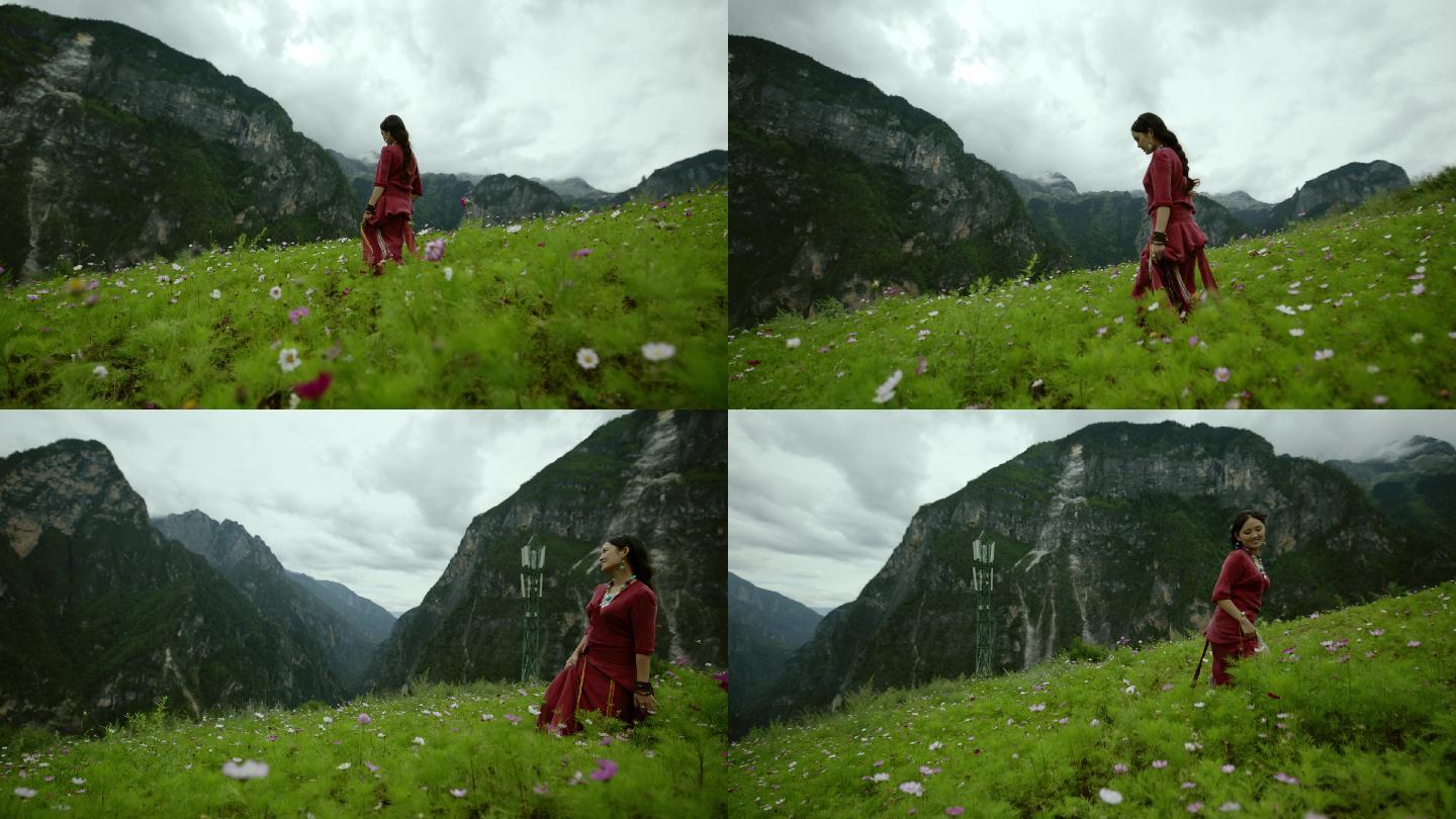 格桑花海中的藏族女子