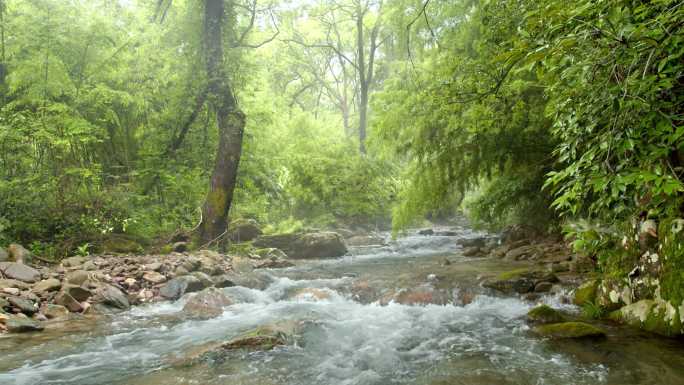 环境优美大山溪流