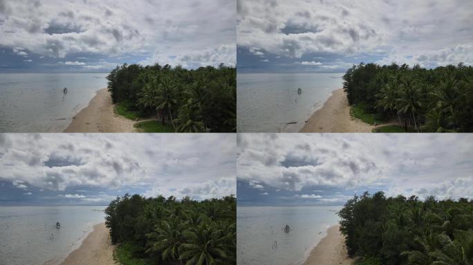 海南 文昌 东郊椰林 椰子树海海边椰子树