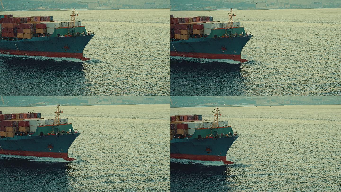 在伊斯坦布尔博斯普鲁斯海峡，海豚在货船前跳跃的无人机镜头