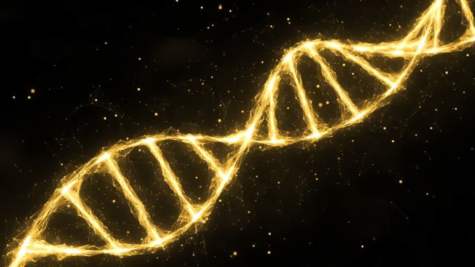 科技感金色基因链循环