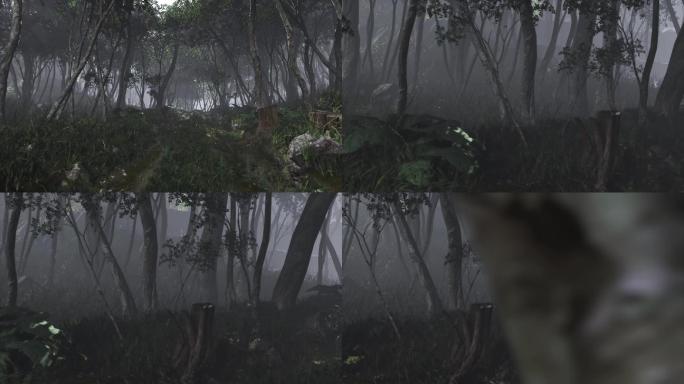 阴森雾气树林