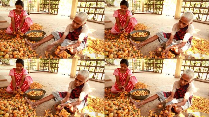 印度农村老年和年轻妇女剥槟榔