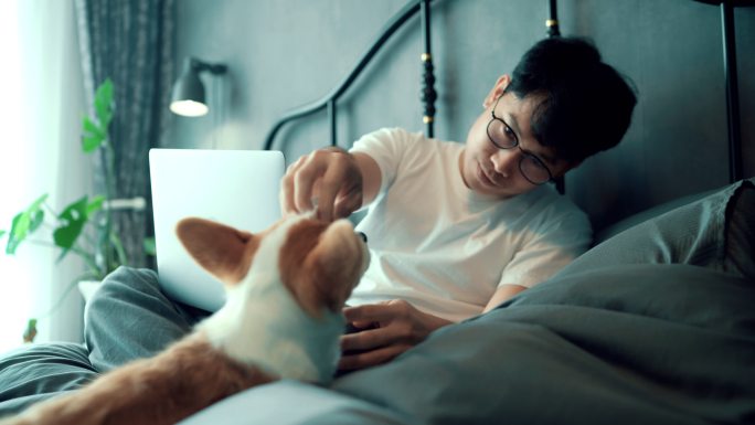 亚洲男子醒来使用笔记本电脑并与狗呆在一起