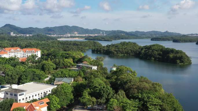 深圳最大水库重要水源地铁岗水库碧波万顷1