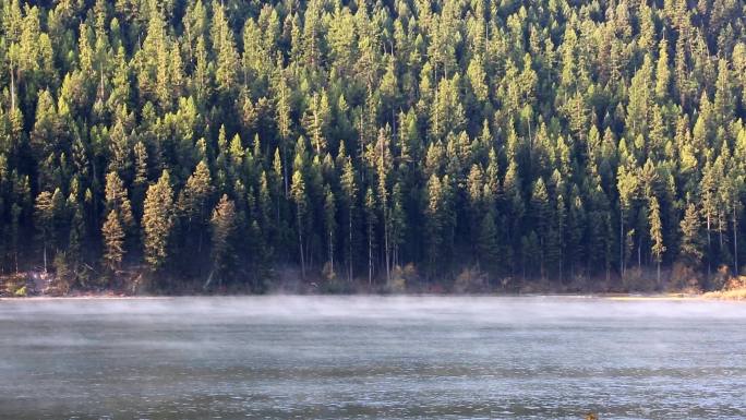 山湖晨雾河流树木群宁静的河流树木美丽的风