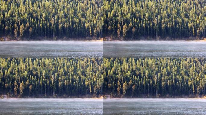 山湖晨雾河流树木群宁静的河流树木美丽的风
