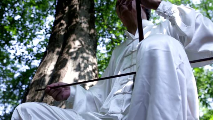 老人在公园里演奏中国传统二胡
