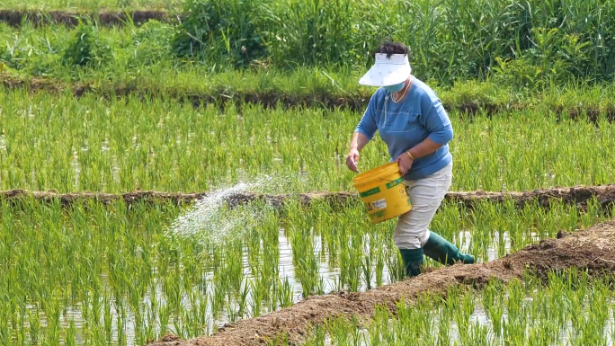 农民在田地施肥喷药