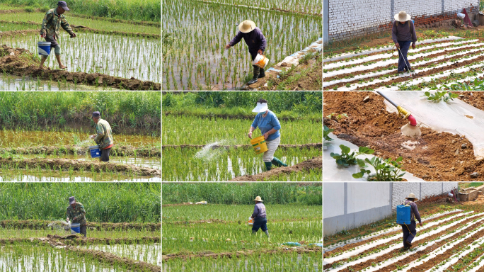 农民在田地施肥喷药