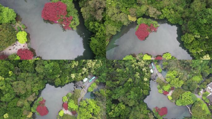 杭州西湖九溪烟树航拍