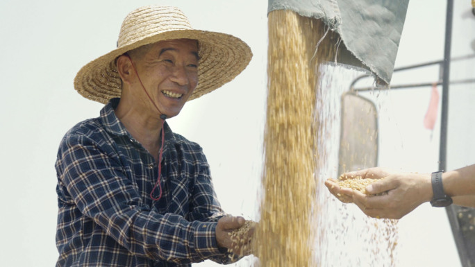 丰收小麦收割机