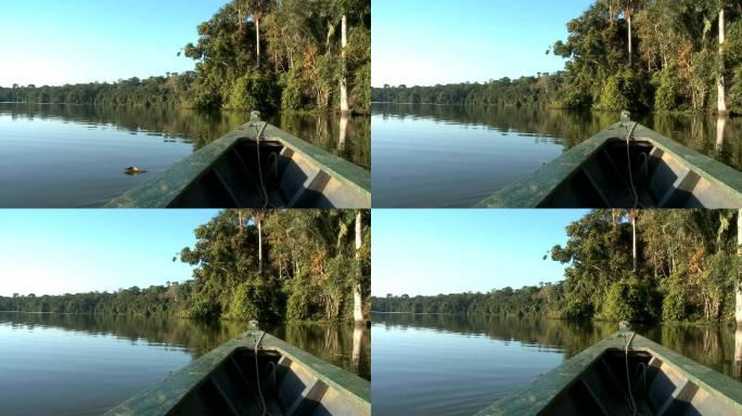 湖面上的船热带雨林船水面倒影