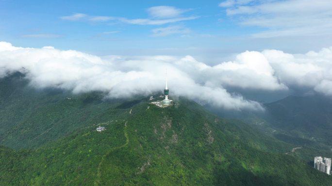 4K粤港澳大湾区深圳梧桐山云雾延时摄影