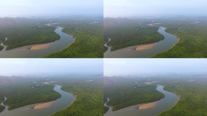 多利离开了热带雨林和许多河流的上空