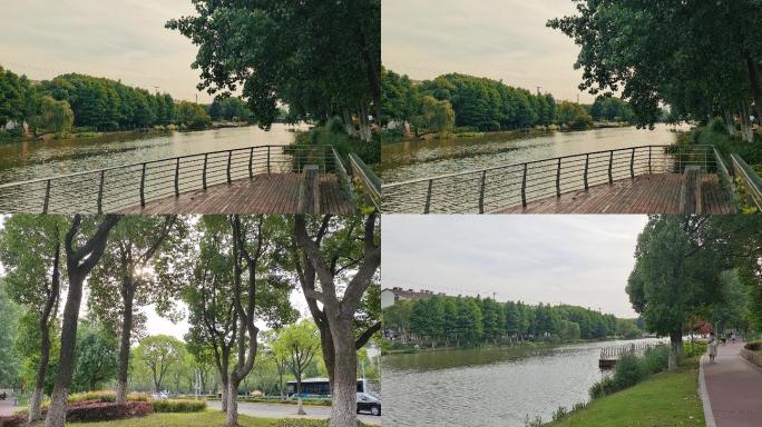 河边步道滨河绿化