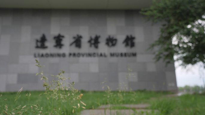 雨后的辽宁省博物馆