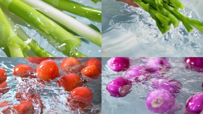 洗蔬菜-工厂洗菜-洗番茄-洗菜