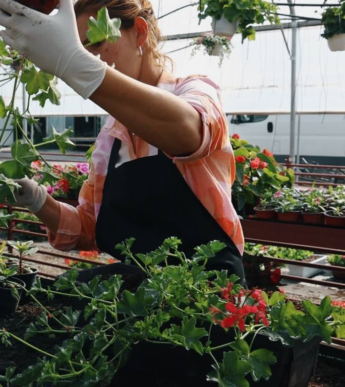 温室女工绿植室内绿化