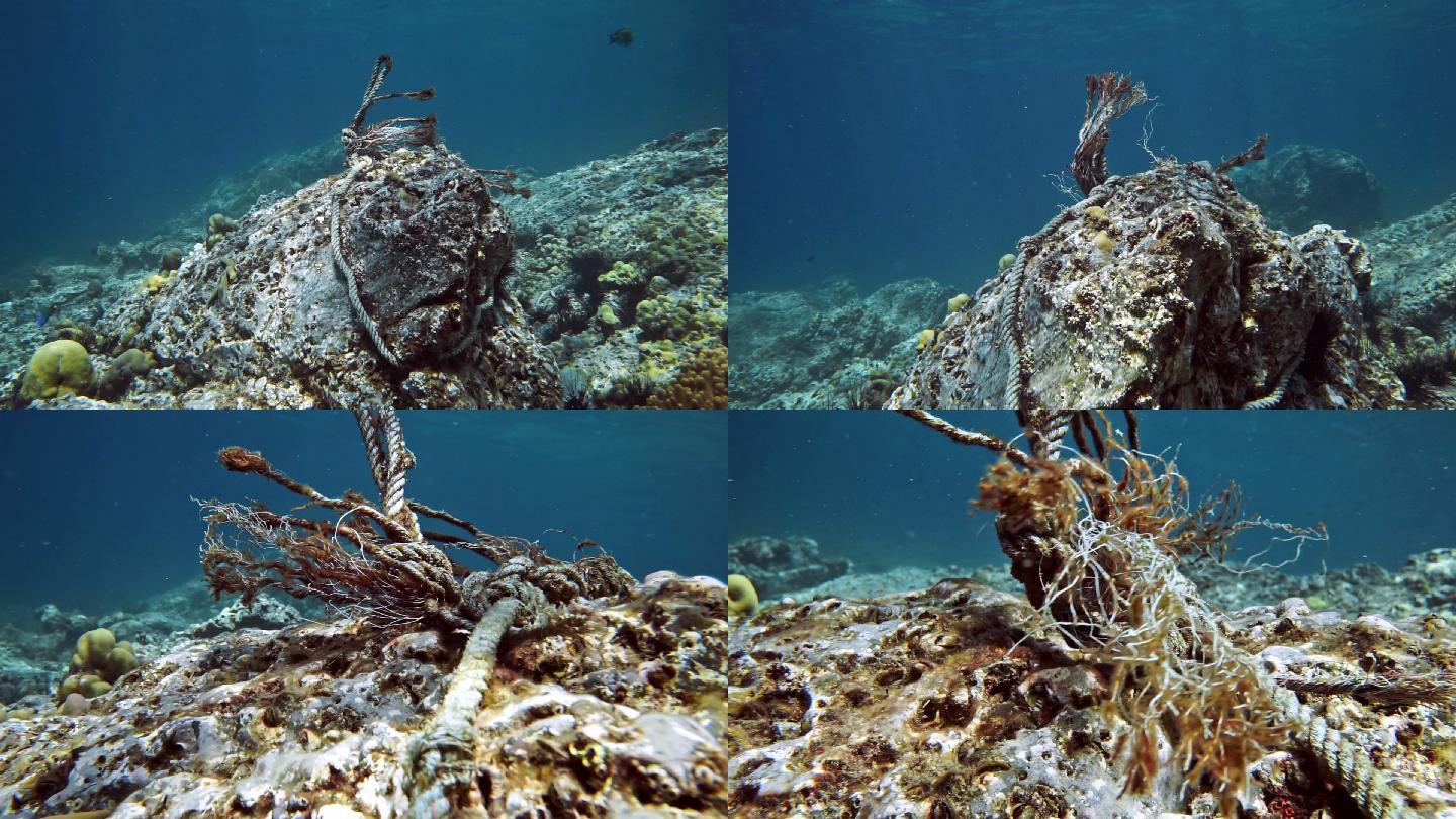 废弃渔具的幽灵网海洋废弃物污染海洋