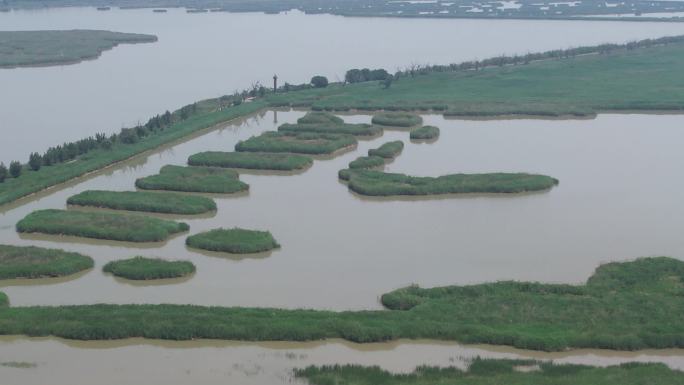 天津 七里海 湿地（古海岸与湿地保护区）