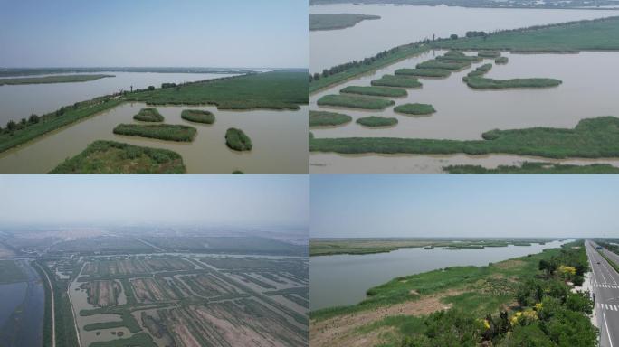 天津 七里海 湿地（古海岸与湿地保护区）