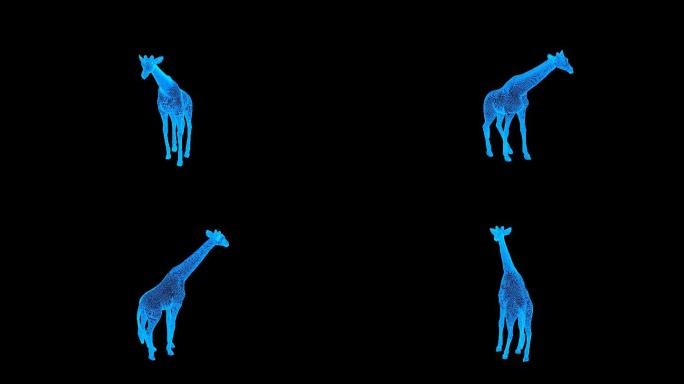 蓝色线框全息科技长颈鹿视频素材带通道