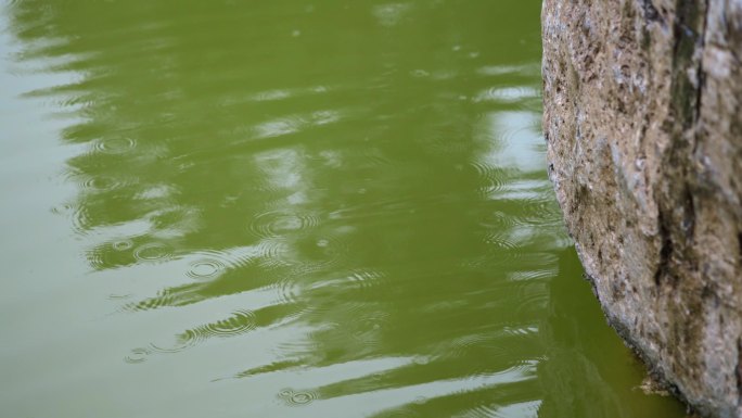 水上打太极