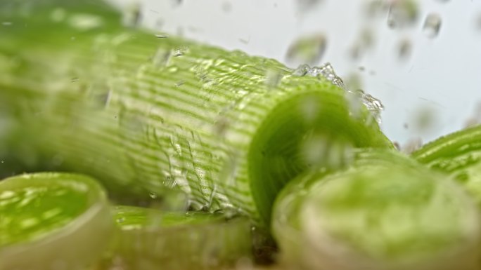 缓慢的水浇在韭菜上