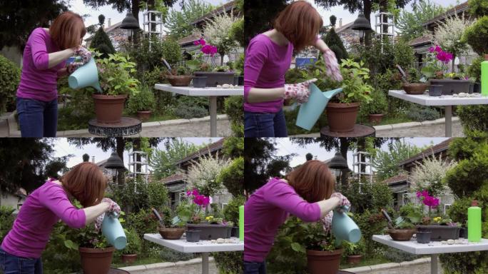 女园丁浇水护理花卉绿色植物
