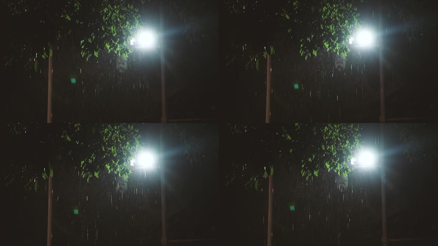 4k雨中的路灯