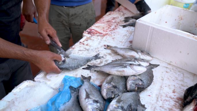 一名男子在鱼市清理和准备出售鱼类的4K视频片段