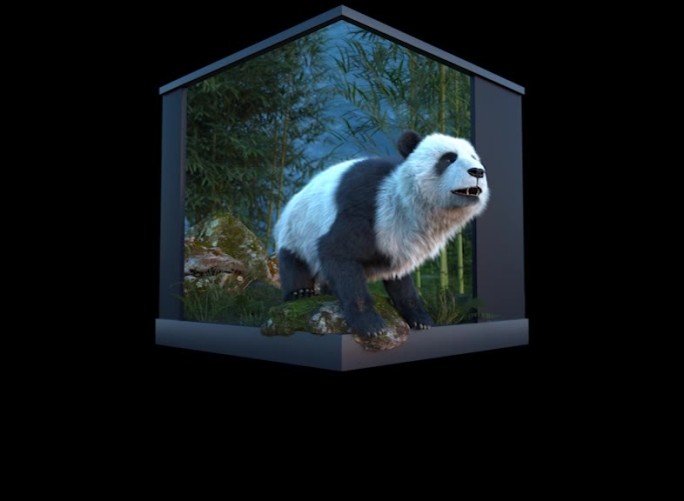 熊猫 裸眼3D 素材