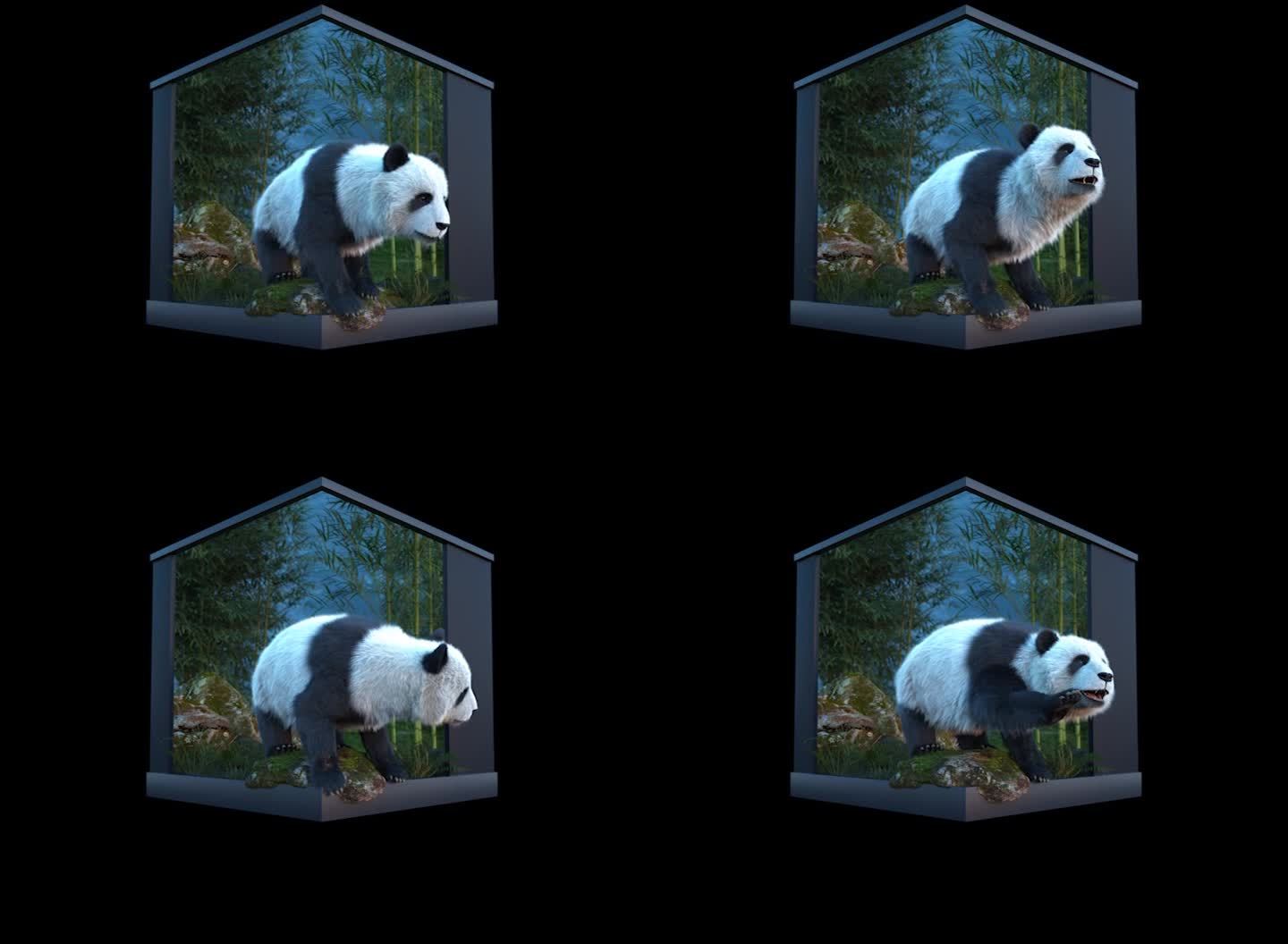 熊猫 裸眼3D 素材