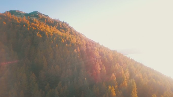 日落时秋山森林鸟瞰图