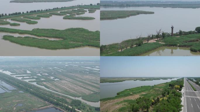 4K天津 七里海 保护区（古海岸与湿地）