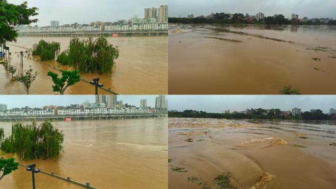 洪水过境城市 河流 洪峰水位上涨 急流