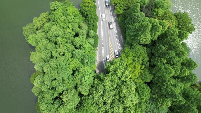 杭州市西湖区杨公堤名胜风景区