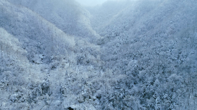 滑雪场雪山雪淞伏牛山麓冬日雪景